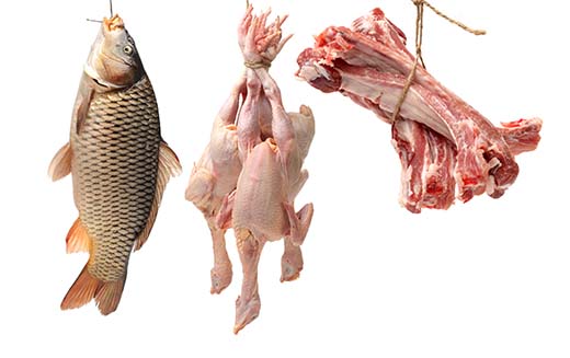 3 Types Of Wild Meat And How To Prep And Cook Them